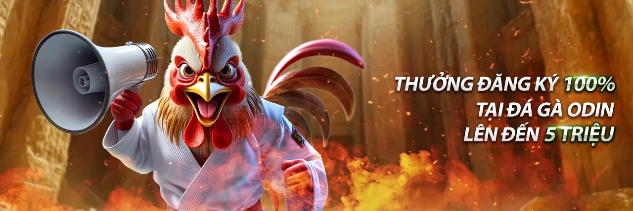 Giao diện đăng nhập FK88 nhà cái an toàn và hấp dẫn