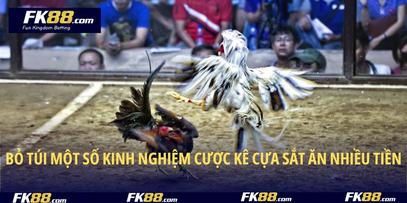 Bỏ túi một số kinh nghiệm cược kê cựa sắt ăn nhiều tiền