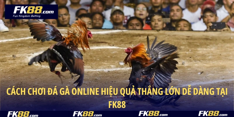 Cách Chơi Đá Gà Online Hiệu Quả Thắng Lớn Dễ Dàng Tại FK88