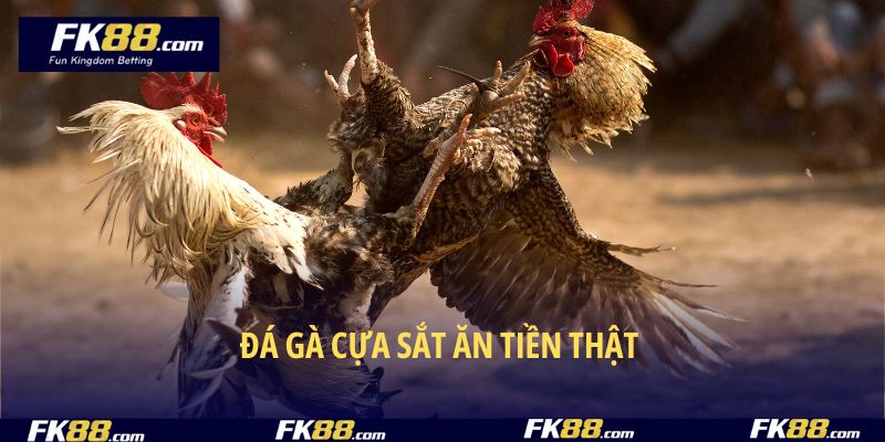 Đá Gà Cựa Sắt Ăn Tiền Thật – Cơ Hội Săn Nhiều Quà Chất 2025