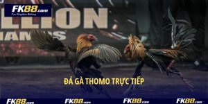Đá Gà Thomo Trực Tiếp FK88 – Sảnh Cá Cược Hot Hit Nhất 2025