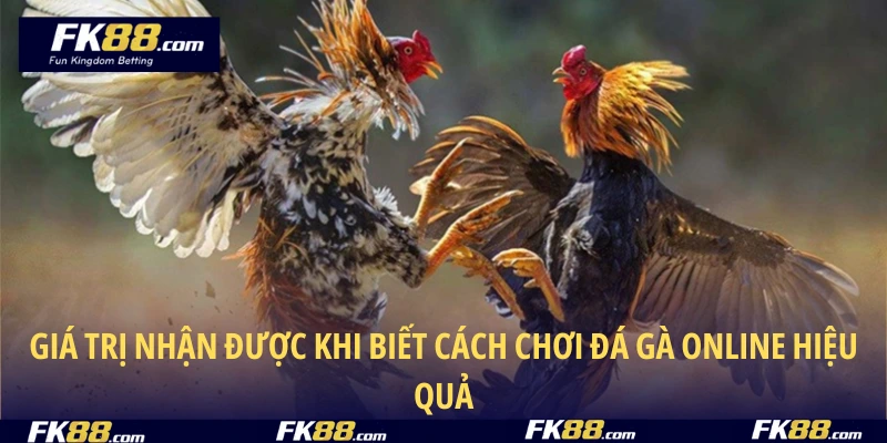 Giá trị nhận được khi biết cách chơi đá gà online hiệu quả