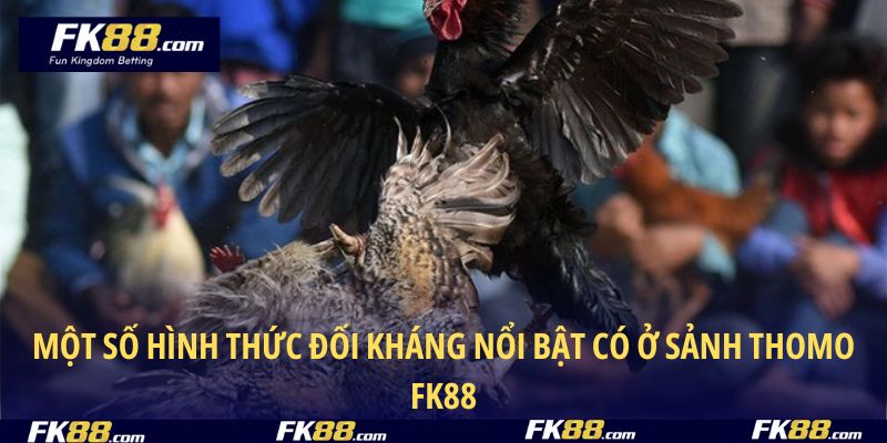 Một số hình thức đối kháng nổi bật có ở sảnh Thomo FK88