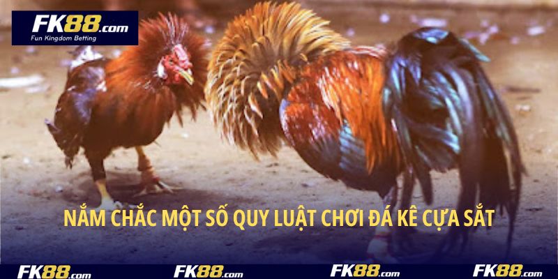 Nắm chắc một số quy luật chơi đá kê cựa sắt