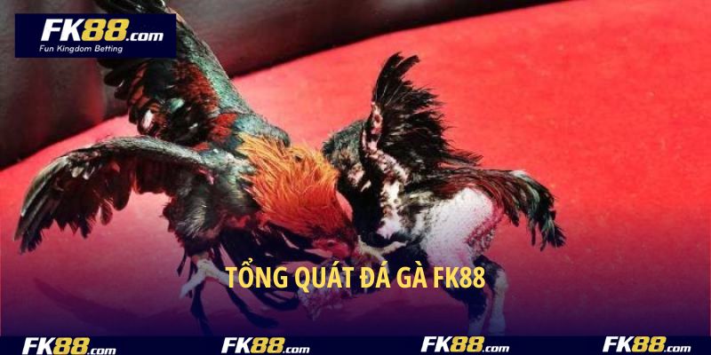 Tổng quát đá gà FK88